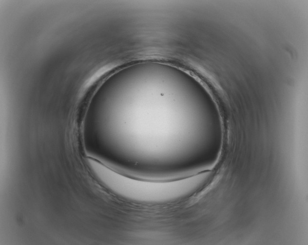 X0000114031453200910091424