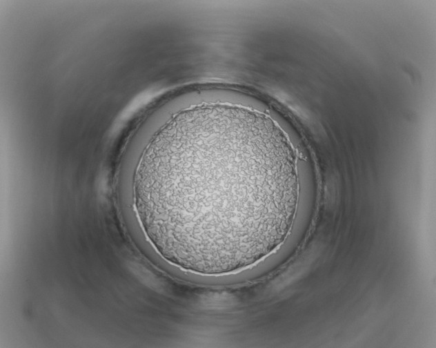 X0000114031454200910091424