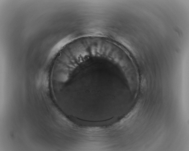 X0000114031455200910091424