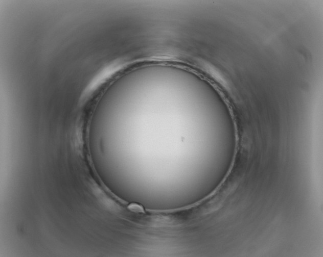 X0000114031456200910091424