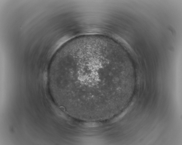 X0000114031457200910091424