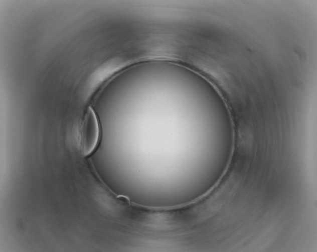 X0000114031461200910091424