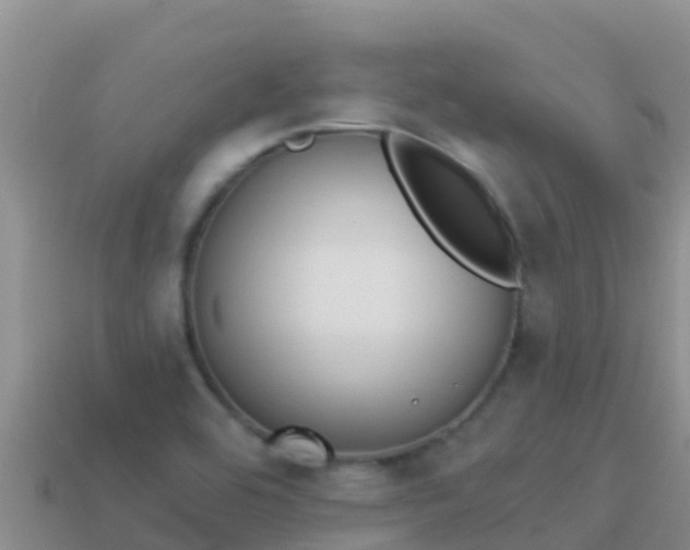 X0000114031464200910091424