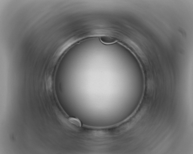 X0000114031465200910091424