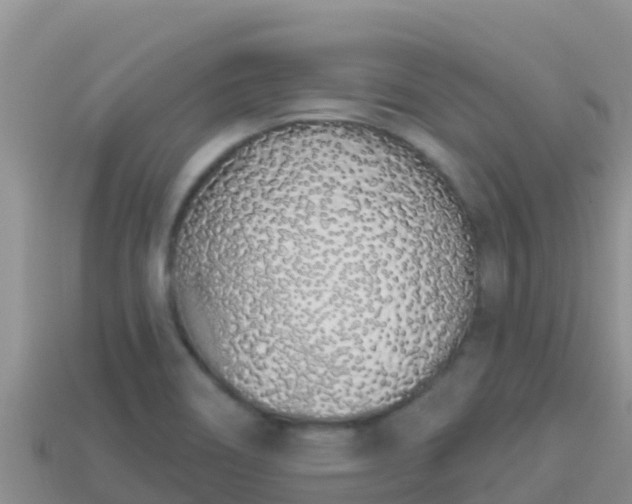 X0000114031466200910091424