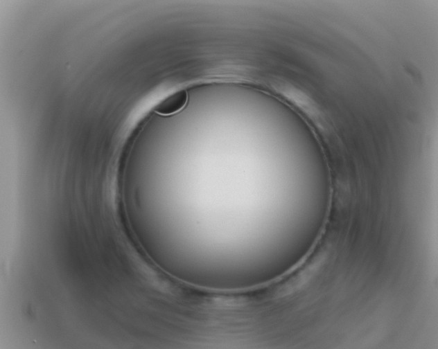 X0000114031469200910091424