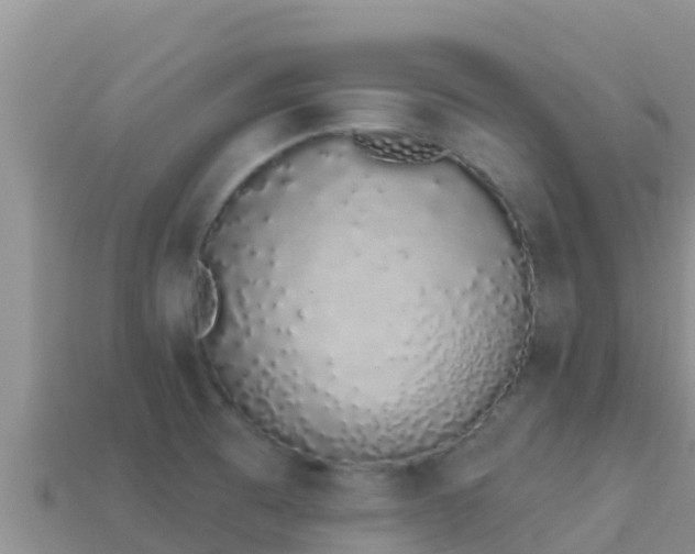 X0000114031473200910091424