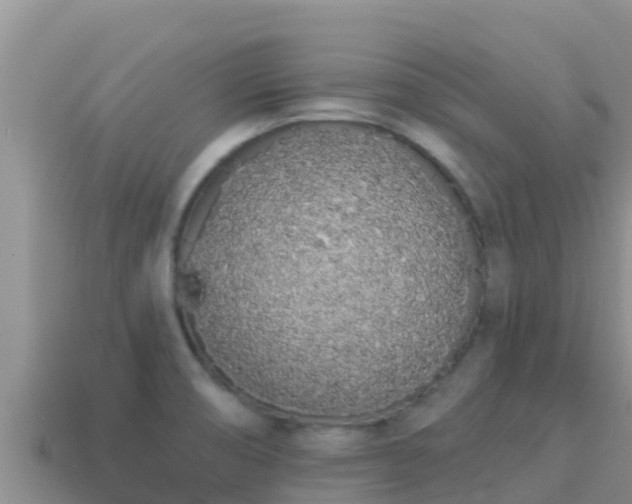 X0000114031474200910091424