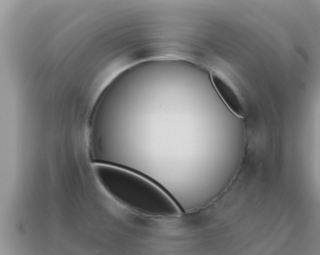 X0000114031476200910091424