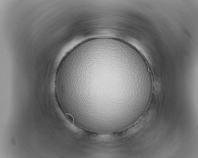 X0000114031477200910091424