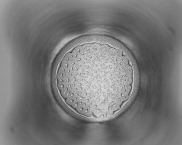 X0000114031478200910091424