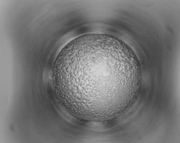 X0000114031481200910091424