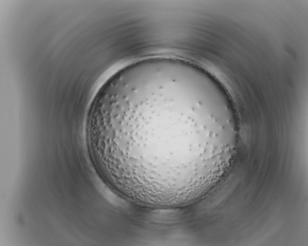 X0000114031482200910091424