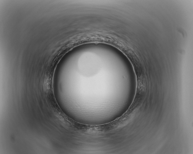 X0000114031490200910091423