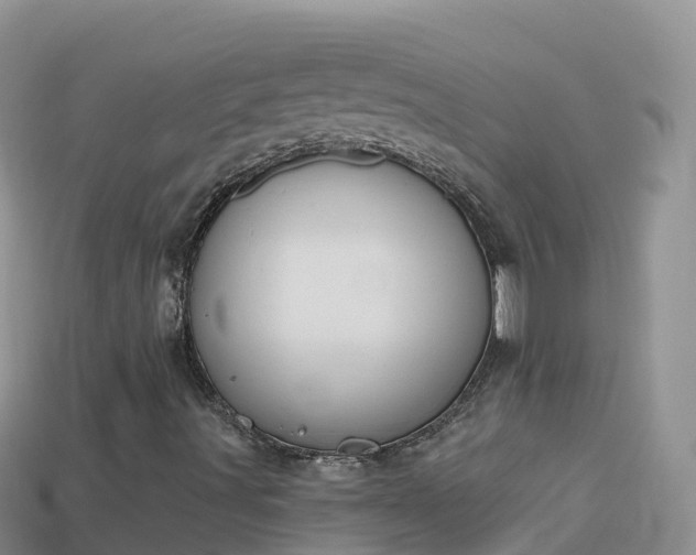 X0000114031491200910091423