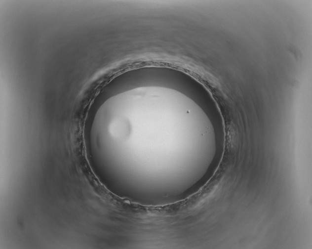 X0000114031494200910091423