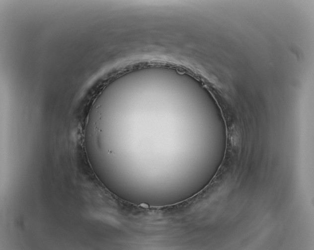 X0000114031495200910091423