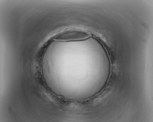 X0000114031496200910091423