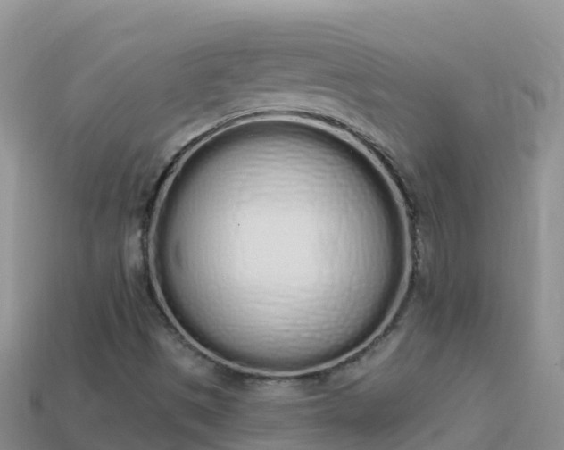 X0000114031497200910091423