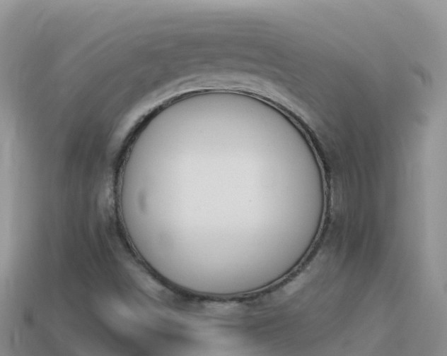 X0000114031498200910091423