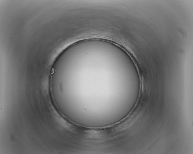 X0000114031500200910091423