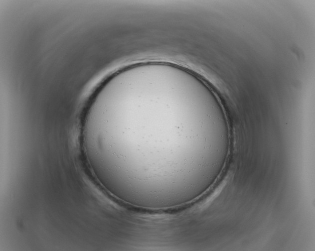 X0000114031502200910091423