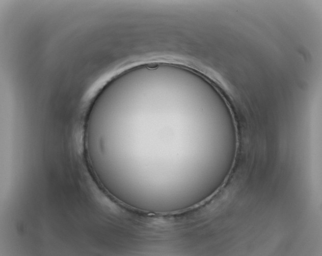 X0000114031504200910091423