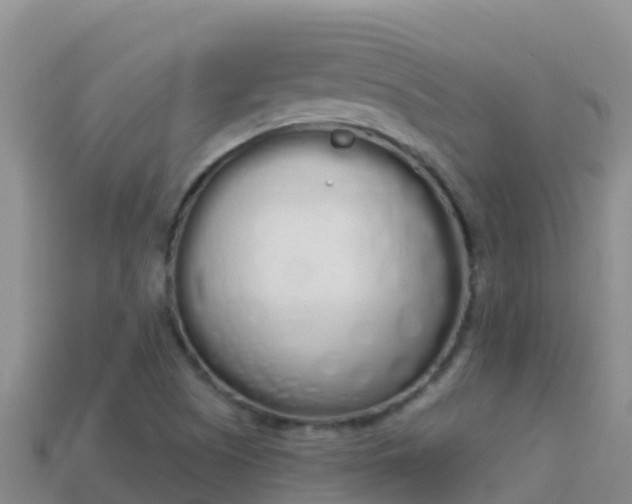 X0000114031505200910091423