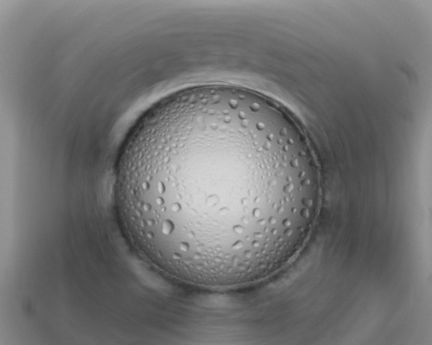 X0000114031507200910091423