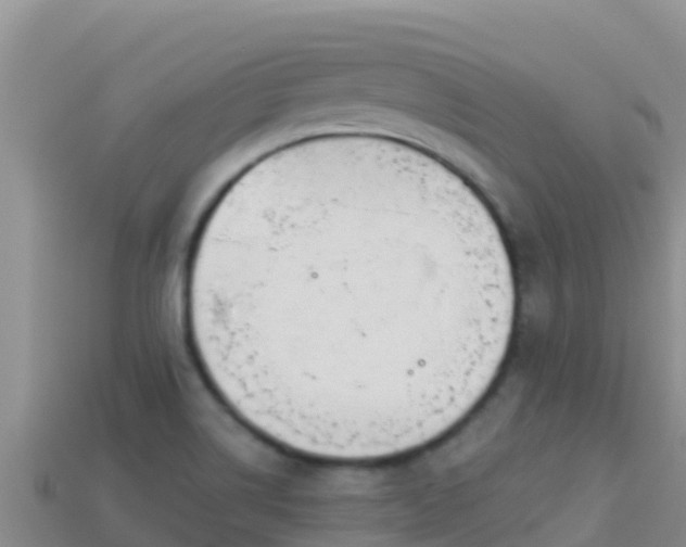 X0000114031514200910091424