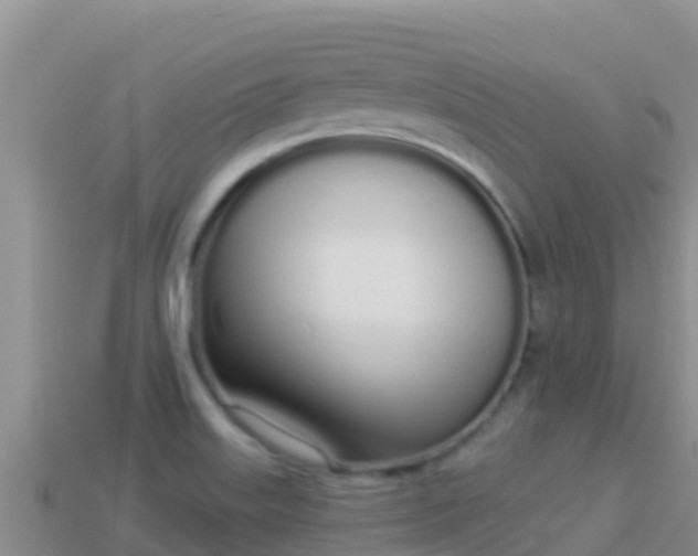 X0000114031515200910091424