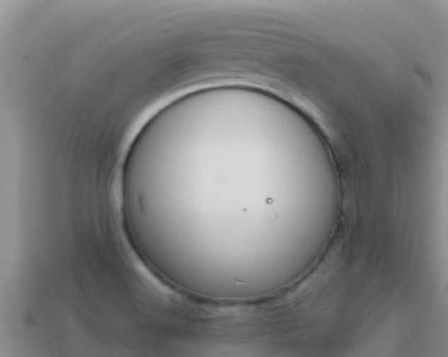 X0000114031516200910091424