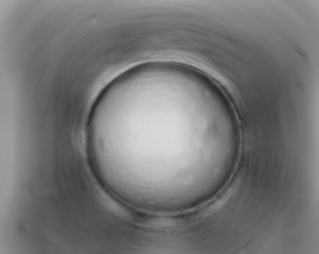 X0000114031517200910091424