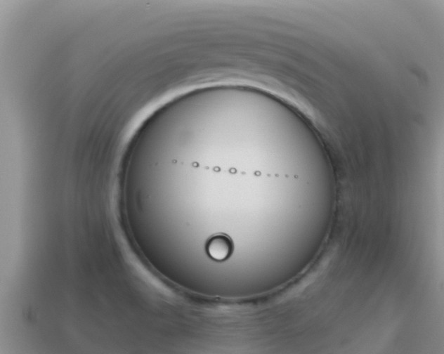 X0000114031518200910091424
