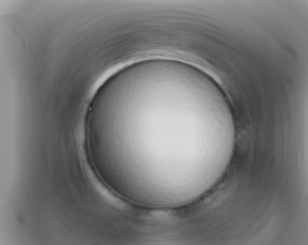 X0000114031523200910091424