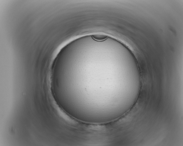 X0000114031526200910091424