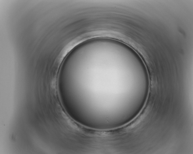 X0000114031529200910091424