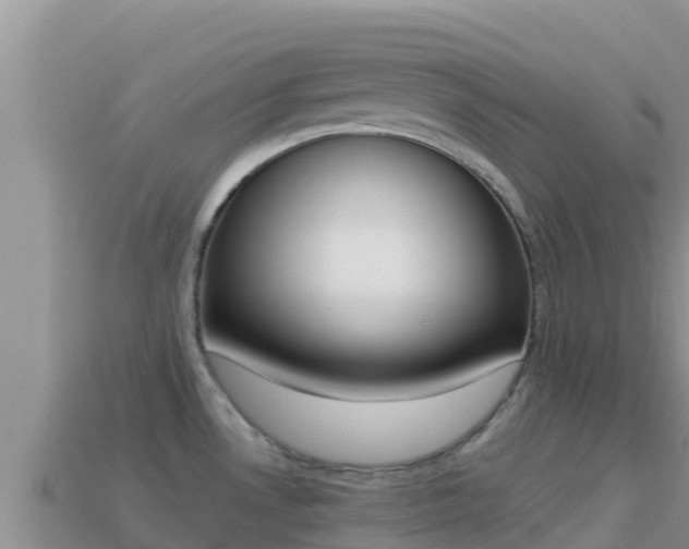 X0000114031530200910091424
