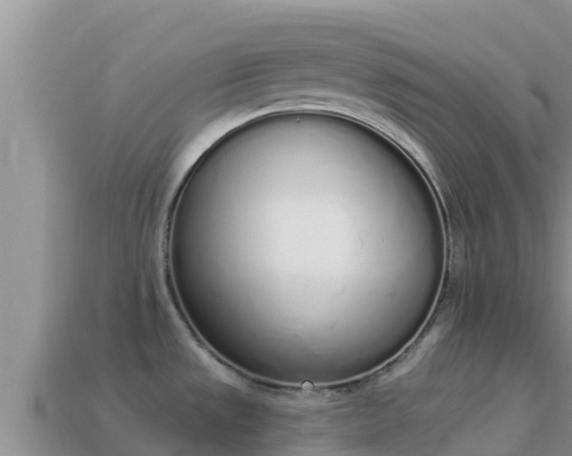 X0000114031533200910091424