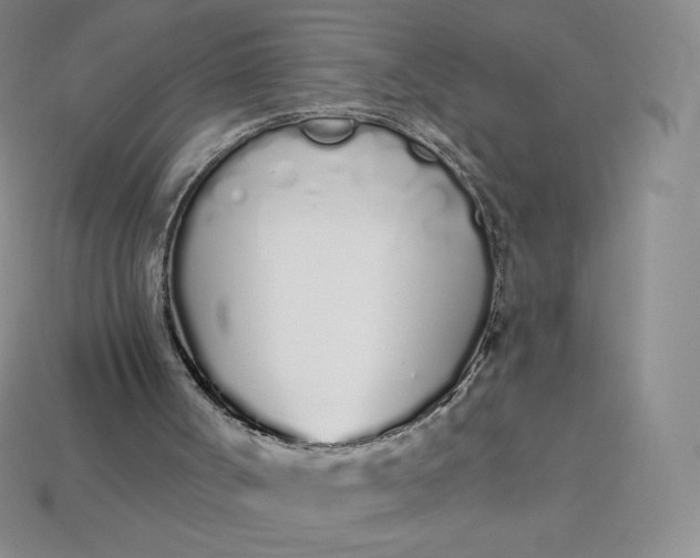 X0000114030002200910161830