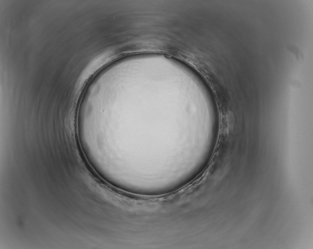 X0000114030004200910161830