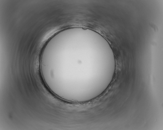 X0000114030005200910161830