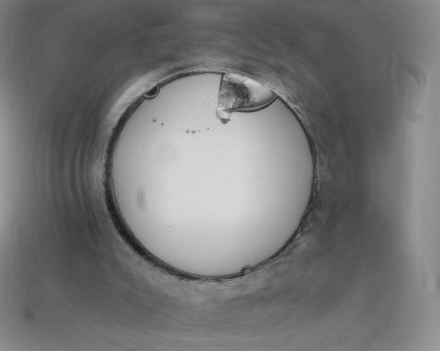 X0000114030007200910161830