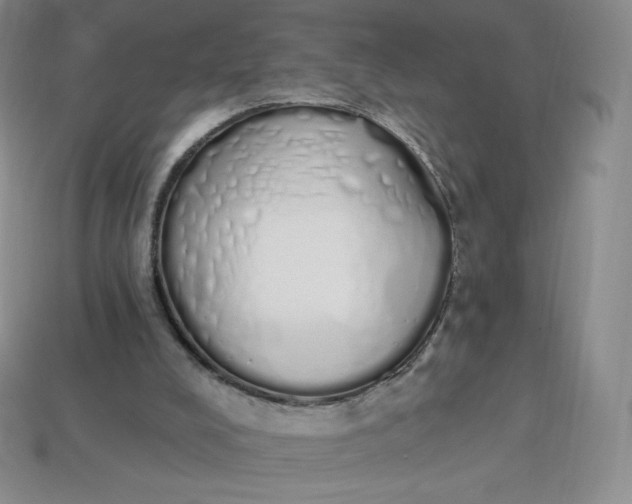 X0000114030008200910161830