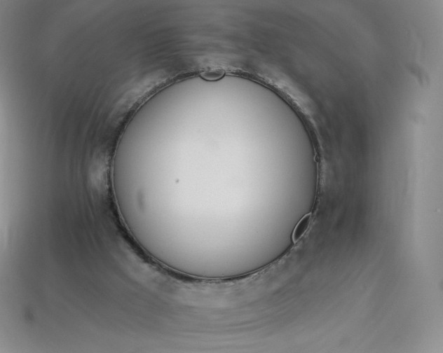 X0000114030009200910161830