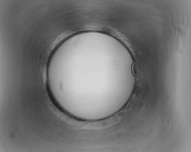 X0000114030011200910161830