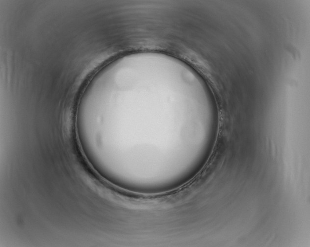 X0000114030012200910161830