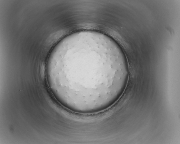 X0000114030014200910161830