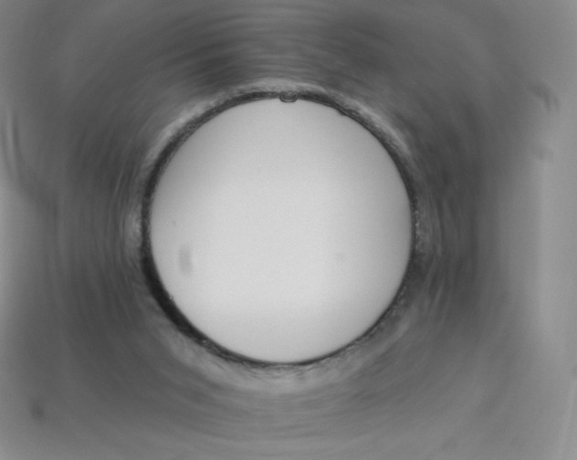 X0000114030015200910161830