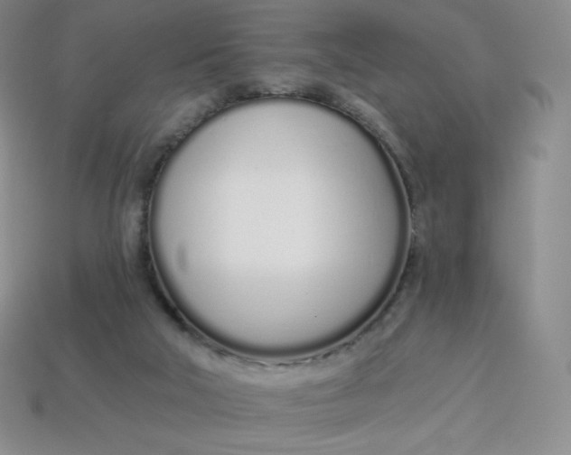 X0000114030018200910161830